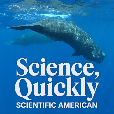episode Do Sperm Whales Have Culture? artwork