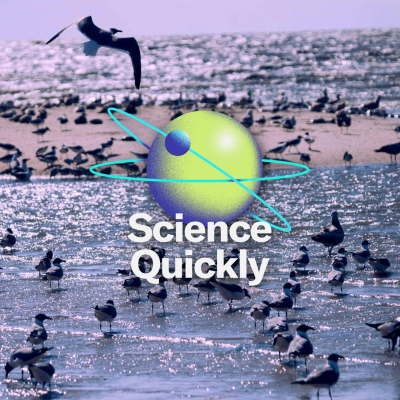 episode How Bird Flu Went from an Isolated Avian Illness to a Human Pandemic Threat (Part 1) artwork