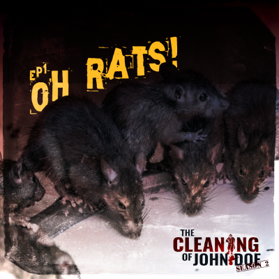 episode 1: Oh, Rats! artwork