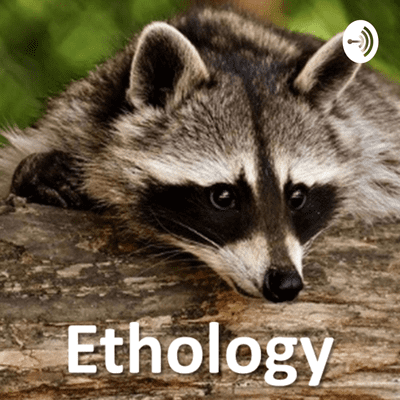 Ethology