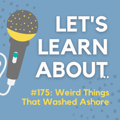 episode #175 - 13 Weird Things That Have Washed Ashore artwork
