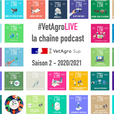 episode ÉTÉ 2021 Session de rattrapage artwork
