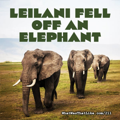 episode 211: Leilani fell off an elephant artwork