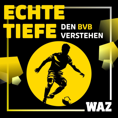 Cover image Echte Tiefe – den BVB verstehen