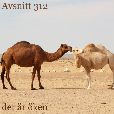 episode det är öken – #312 artwork