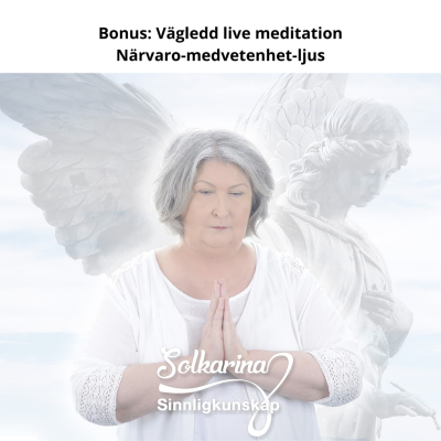 episode Bonus: Vägledd live meditation från kurs - närvaro-medvetenhet-ljus artwork