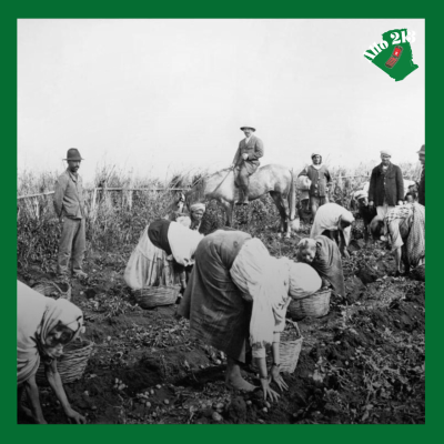 episode 🇩🇿 En quoi le vin est-il un symbole de la colonisation française en Algérie? artwork