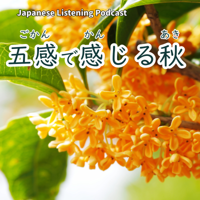 episode 117　五感で感じる秋｜Autumn Through the Five Senses｜用五感感受秋天｜Learn Japanese Podcast【N3】 artwork