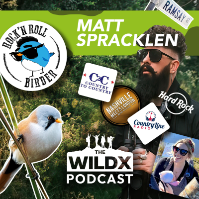 episode Episode 12 - ROCK'N ROLL BIRDER! - Matt Spracklen artwork