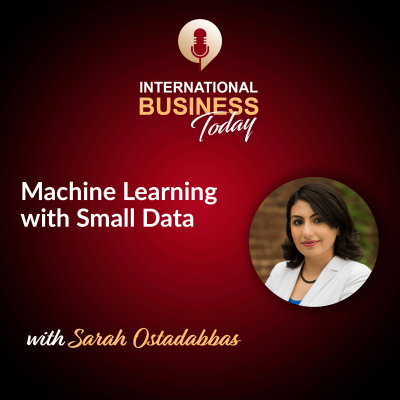 episode Machine Learning with Small Data with Sarah Ostadabbas artwork
