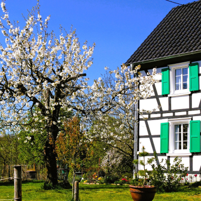 episode Obstweg Leichlingen: Auf Blüten wandern artwork