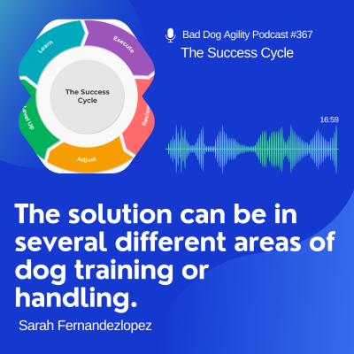episode 367: The Success Cycle artwork
