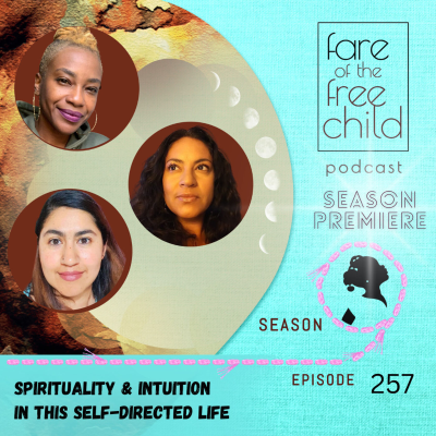 episode Ep 257: Spirituality and Intuition in This Self-directed Life artwork