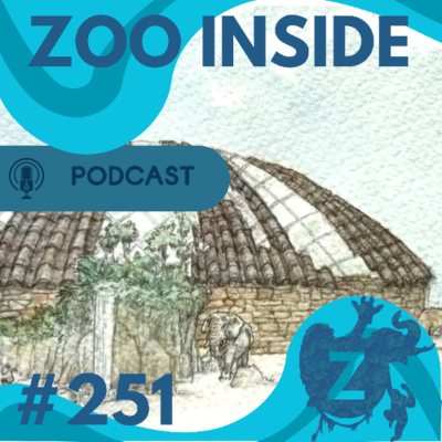 episode Zoo Inside #251 - Nieuws & Zoo artwork