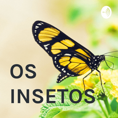 OS INSETOS