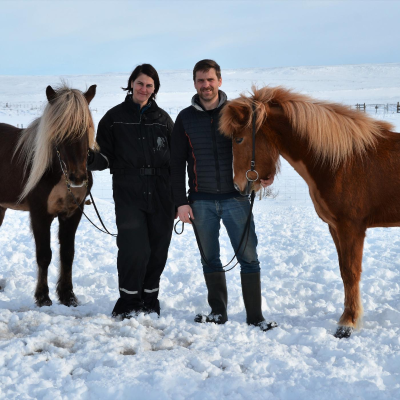 episode Geysir Horses artwork