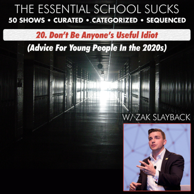 episode 20. Don't Be Anyone's Useful Idiot artwork
