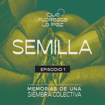 episode Capítulo 17: Semillas artwork