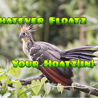 episode Episode 79: Whatever Floatz your Hoatz(in): The Farting, Fermenting Hoatzin! artwork