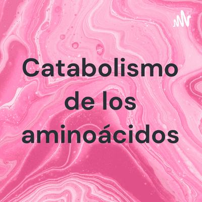 Catabolismo de los aminoácidos