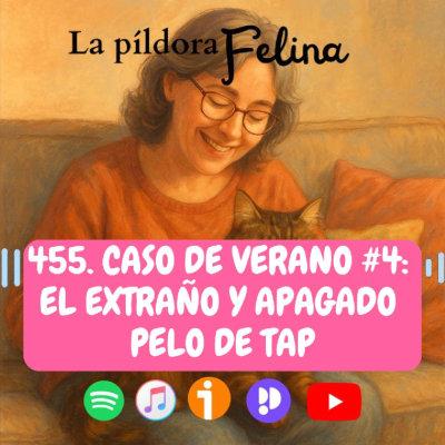 episode 455. Caso de verano #4: El extraño y apagado pelo de Tap artwork