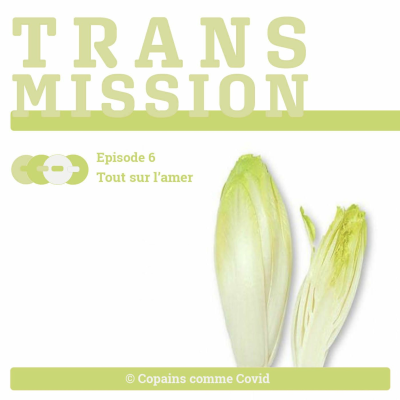 episode Transmission - Episode 6 - Tout sur l'amer artwork