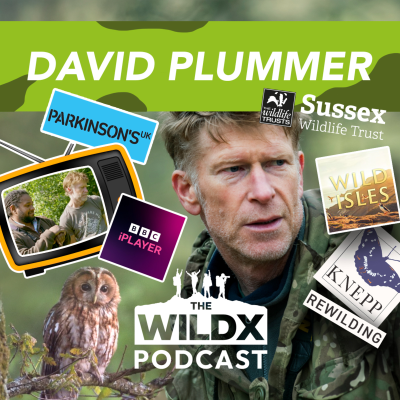 episode Episode 13 - David Plummer - Award-winning Wildlife Film-maker, Photographer and Rewilding Expert artwork