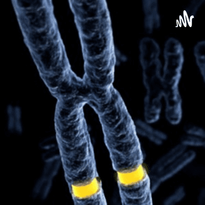 What Is Fragile X Syndrome