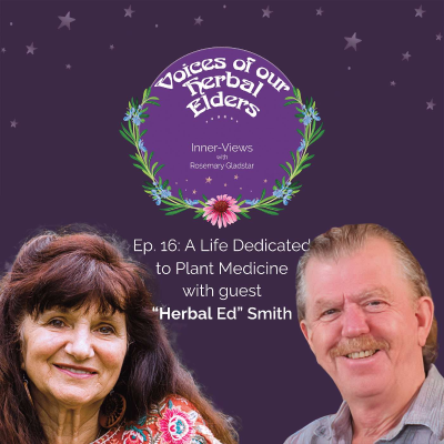 episode Ed Smith | Voices of Our Herbal Elders Ep. 16 artwork