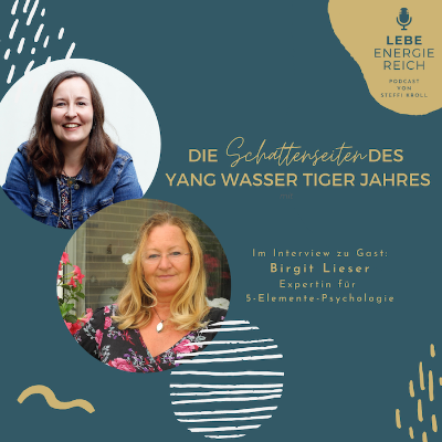 episode #012 Die Schattenseiten des Yang Wasser Tigers artwork