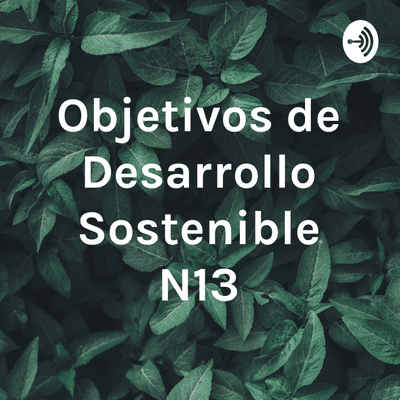 Objetivos de Desarrollo Sostenible N°13