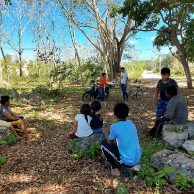 episode La lucha jurídica de los Pueblos Indígenas por la educación intercultural bilingüe artwork