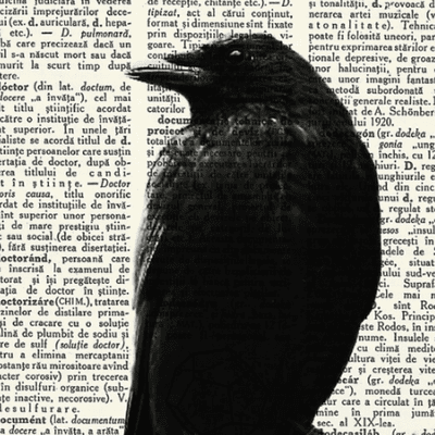 episode KUZGUN FM 2.BÖLÜM - ALTI KARA YILDIZ artwork