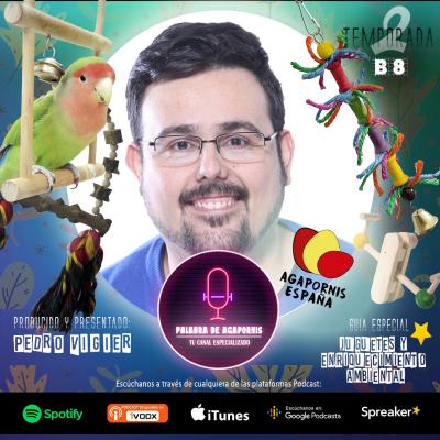 episode B8 Juguetes, Accesorios y enriquecimiento ambiental para Agapornis artwork