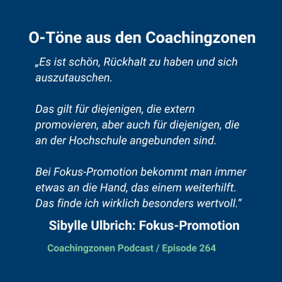 episode O-Töne aus den Coachingzonen: Sibylle artwork