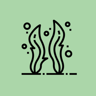 episode 45 – Los problemas de la espirulina artwork