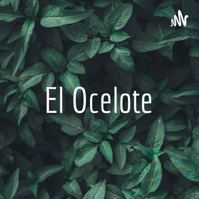 El Ocelote