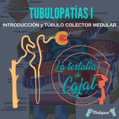 episode #21 Tubulopatías I: Túbulo Colector Medular - Podcast MIR artwork