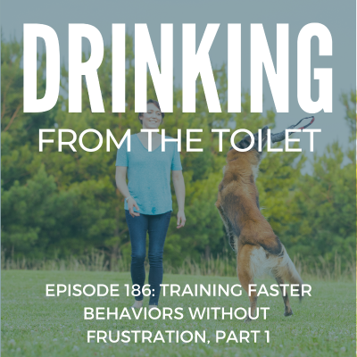 episode #186: Training Faster Behaviors Without Frustration, Part 1 artwork