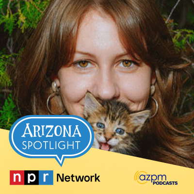 episode "Poets Square: A Memoir in Thirty Cats"--Why Courtney Gustafson's book is resonating with more than just cat lovers. artwork