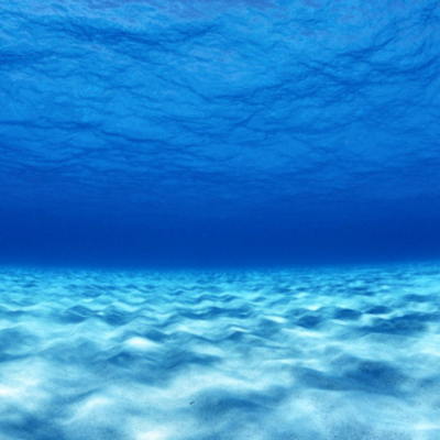 episode Our Four Oceans artwork