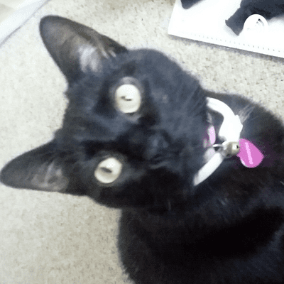 Imagen de portada del espectáculo Mercy