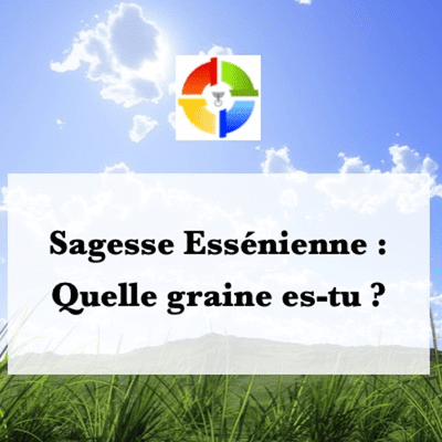 episode Podcast Sagesse Essénienne -19 - Quelle graine es-tu? artwork