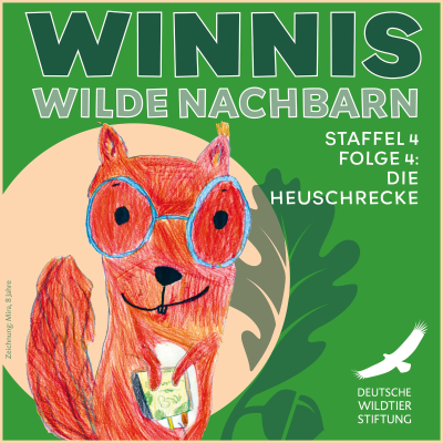 episode Staffel 4 / Folge 4 Alpine Gebirgsschrecke & Warzenbeißer: Huckepack-Sprünge, Schrecken-Schleim und Zähne-Knirschen artwork