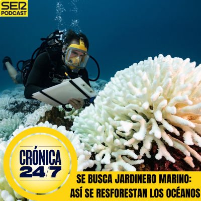 episode Reportaje EP179 | Se busca jardinero marino: así se reforestan los océanos artwork