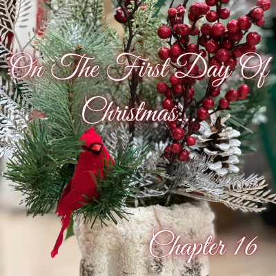 episode On The First Day Of Christmas... [A Drarry Podfic] Chapter 16 artwork