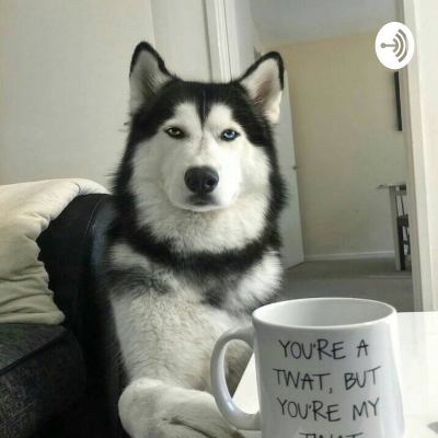 Imagen de portada del espectáculo Candy wrappers