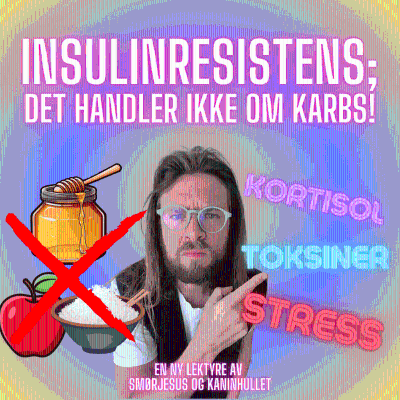 episode S2 Episode #11 - Insulinresistens forklart RIKTIG - Det handler ikke om sukker! / Fettforbrenning Del 6 artwork