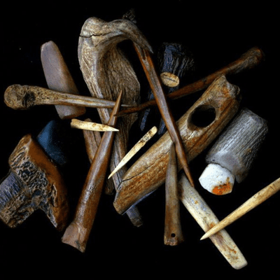 episode Revolución neolitica artwork