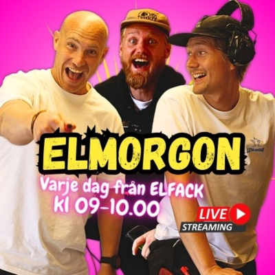 episode #8 ELMORGON | Livet som jordningsingenjör | Så tar du hand om dina instrument | Elektriker på fältet artwork